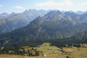 fellhorn
